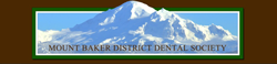 Mount Baker Dental Association